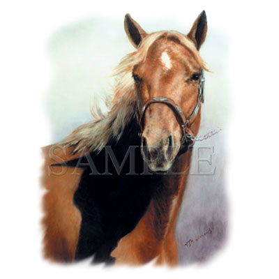 VELKOPLOŠNÝ 50*40cm od velikosti L