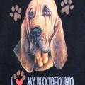 BLOODHOUND - potisk na tričku