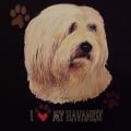 HAVANSKÝ PSÍK 1 - HAVANESE natričko,polštářek