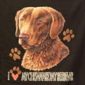 CHEASAPEAKE BAY RETRIEVER- - Retrivr 1