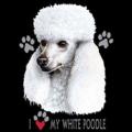 POODLE-PUDL BÍLÝ 1-potisk na tričko , polštářek