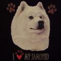 SAMOJED 1 -,potisk na tričko , polštářek