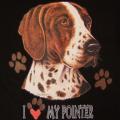 SPRINGER SPANIEL WELSH