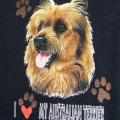 AUSTRALSKÝ TERRIER- AUSTRALSKÝ TERIER
