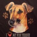 FOXTERIER -FOX TERRIER