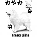 AMERICKÉ  ESKIMO 