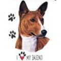 BASENJI - tričko, polštářek