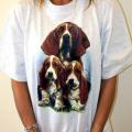 BASET A PUPPIES