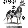 BLUETICK COONHOUND - modrý mývalý pes
