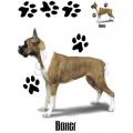 BOXER na tričko, polštářek 2