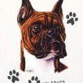 BRINDLE BOXER