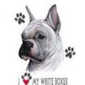WHITE BOXER