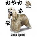 KOKRŠPANĚL - ZLATÝ ,COCKER SPANIEL