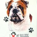 BULDOK -BULLDOG,potisk buldoka na tričku, polštářku