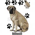 BULL MASTIFF- potiskna tričko, polštářek