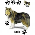 KOLIE -COLLIE - na tričku, polštářku