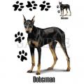 DOBRMAN