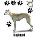 ITALSKÝ CHRT - GREYHOUND -potisk na tričko, polštářek