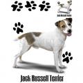 JACK RUSSEL TERRIER - potisk JRT na tričko, polštářek
