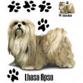 LHASA APSO potisk  na triko, polštářek