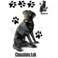 LABRADOR CHOCHOLATE - na tričko, polštářek