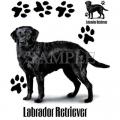 LABRADOR RETRÍVR  potisk na tričko, polštářek 32