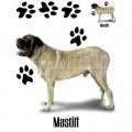 MASTIFF