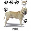 PITBULL - potisk na tričko, polštářek