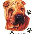 ŠARPEI -SHAR PEI - potisk na tričko , polštářek 1