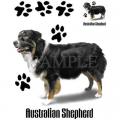 AUSTRALSKÝ OVČÁK -AUSTRALIAN SHEPHERD - 