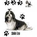 SHIH-TZU - ŠICU , potisk na tričku,polštářku