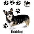 WELSH GEORGI 3 -potisk na tričko, polštářek