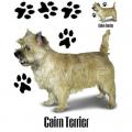 CARIN TERRIER