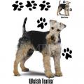 VELŠTERIER - WELSH TERRIER - potisk na tričko, polštářek