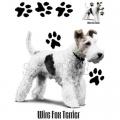 FOXTERIER DRSNOSRSTÝ -FOX TERRIER -2