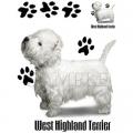 WEST HIGHLAND TERRIER
