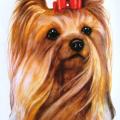 JORKŠÍRSKÝ TERIER -YORKSHIRE TERRIER 1 potisk na tričko,polštářek