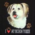 BIŠON YORKIE-bichon 1 na trčko