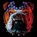 TUFF DOG
