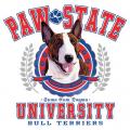 BULL TERRIER - BULLTERRIER