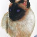 SIAMESE -siamská kočka na tričko