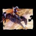 COWBOY-RODEO 3 - kovboj