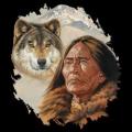 DUCH VLKA - indian a vlk 