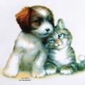 CLOUDLE BUDDIES