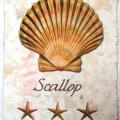 SCALLOP - Potisk na tričko