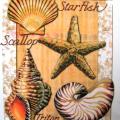 SCALLOP 2 - Potisk na tričko