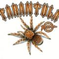TARANTULE - pavouk na tričko