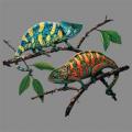 CHAMELEON -  na tričku