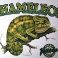 CHAMELEON - na tričko