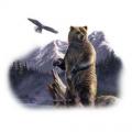 GRIZZLY A OREL -potisk na tričku
